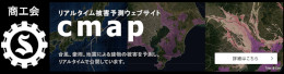 C-MAP